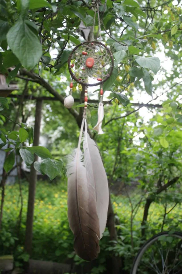 Dreamcatcher