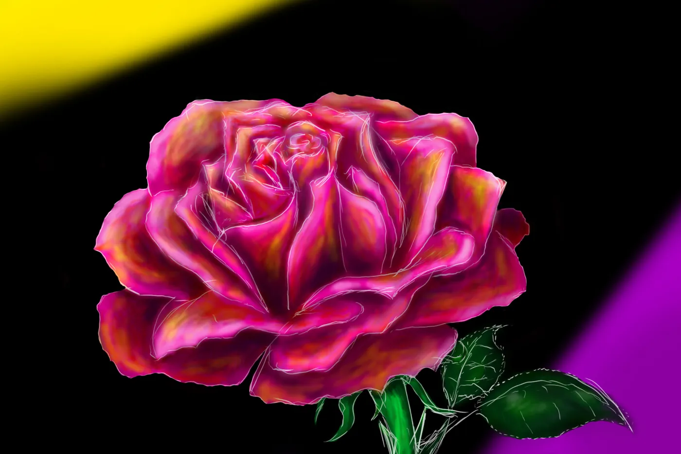 Rose, digital drawing