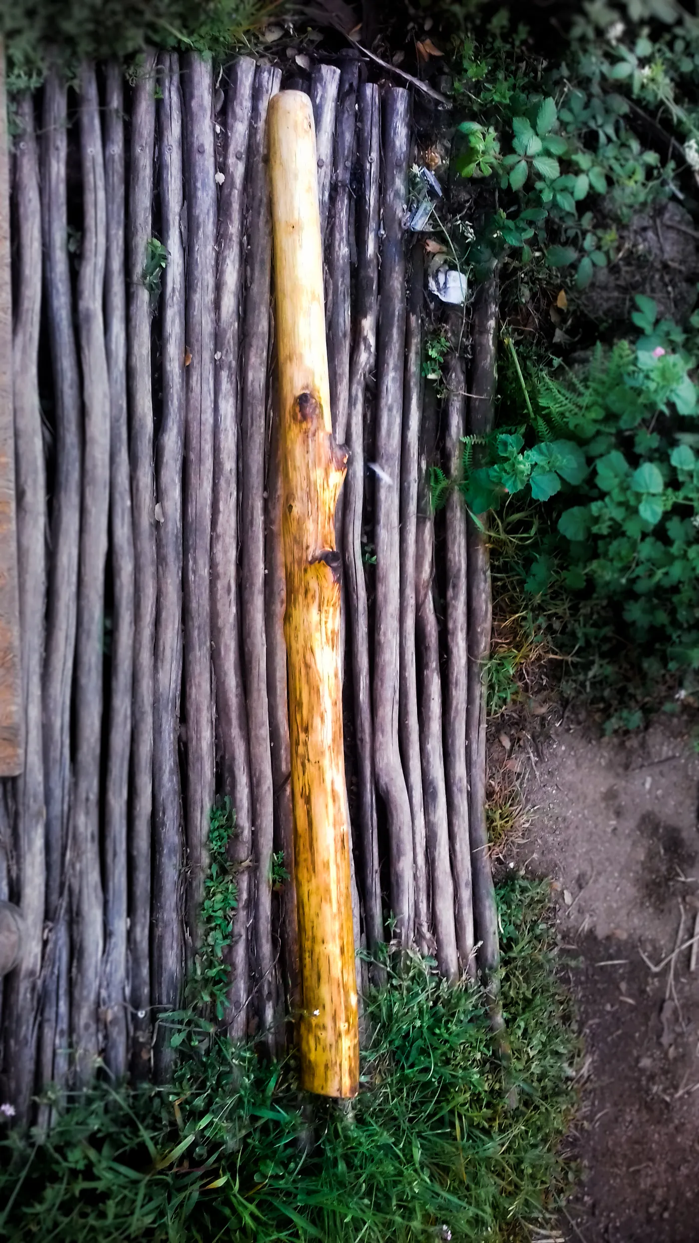 Didgeridoo, full length