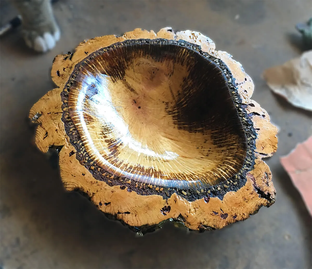 Cork oak bowl