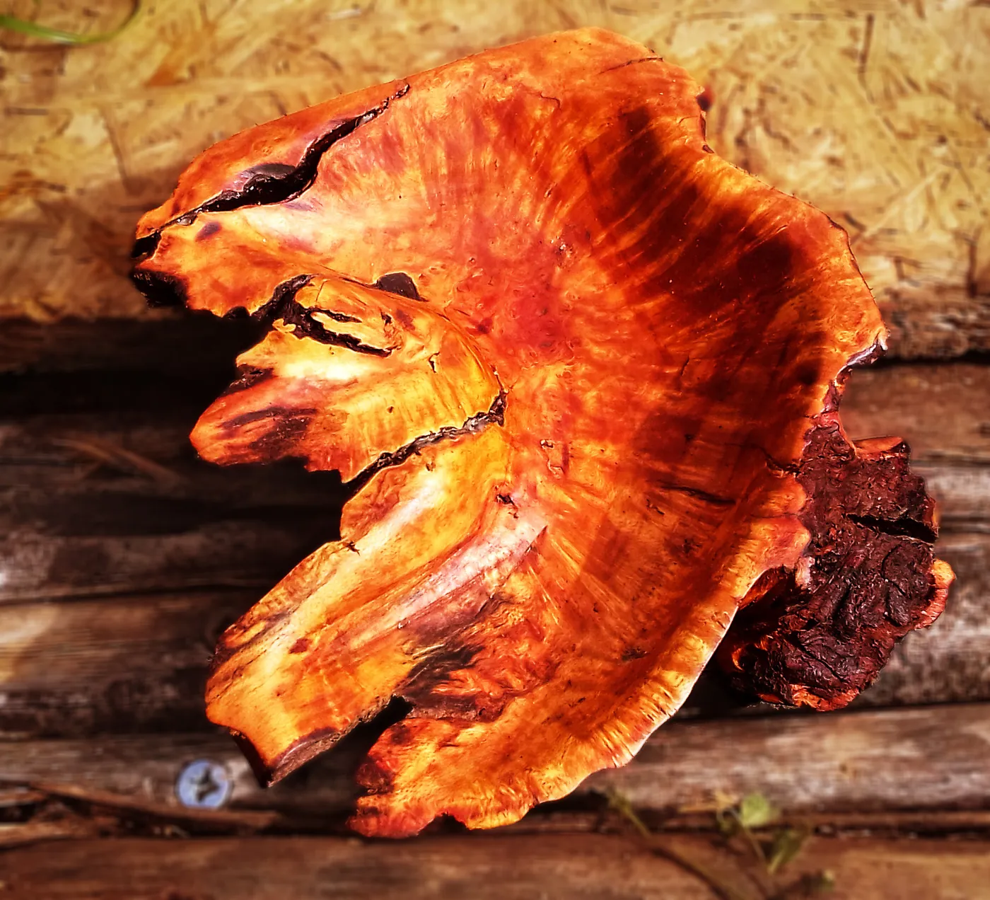 Briar bowl