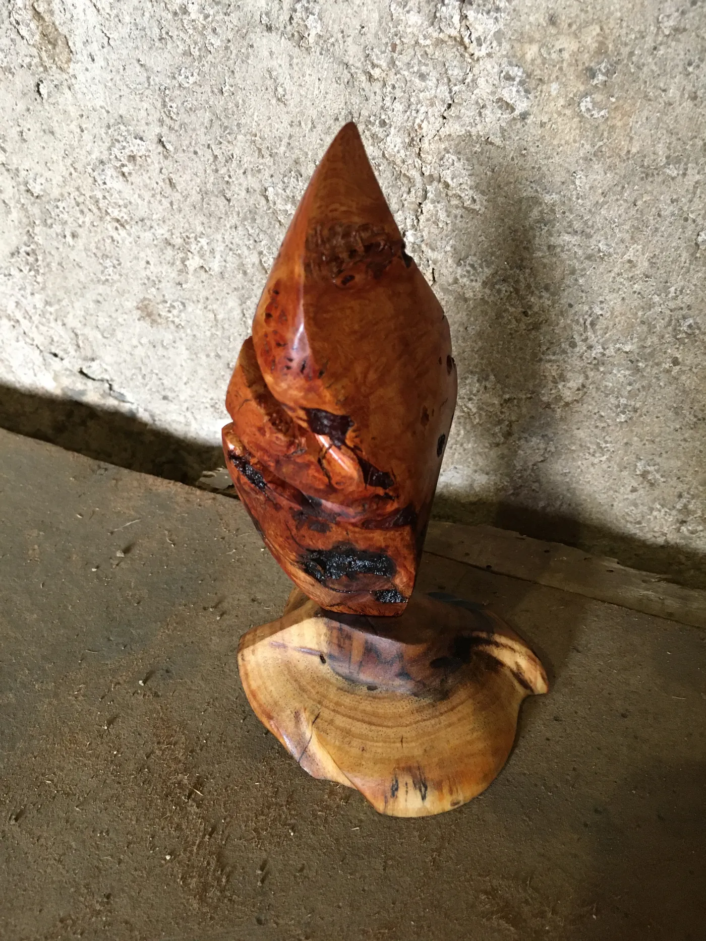 Polished briar sculpture